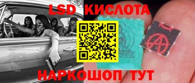ПСИЛОЦИБИНОВЫЕ ГРИБЫ Заволжье